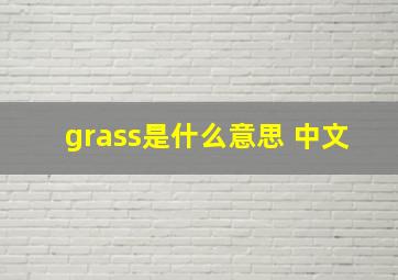 grass是什么意思 中文